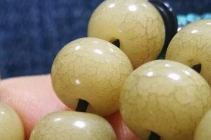 菩提根盘久后的图片欣赏菩提根的分类
