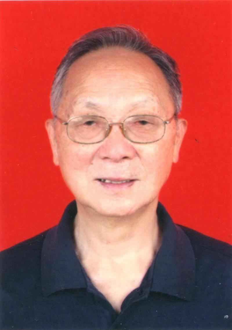 中国当代最具收藏价值艺坛名家——华学文