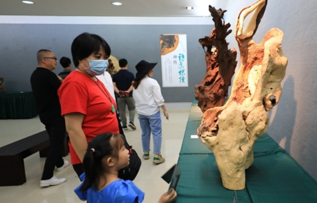 “诗意根读”艺术作品展开幕
